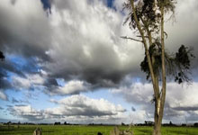 必赢体育:亚冬会首金 韩国获得亚冬会短道速滑混合团体2000米接力冠军央视新闻客户端.