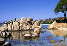 必赢体育：亚冬会明日开幕，“劳模”林孝埈首日出战4项目九派新闻.